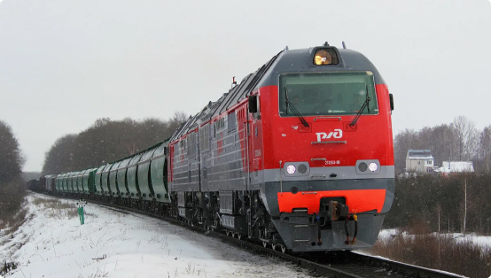 Красный электровоз РЖД с номером 2ТЭ25КМ-0395 ведет грузовой состав по заснеженной железной дороге в пасмурный зимний день, вдали видны деревья